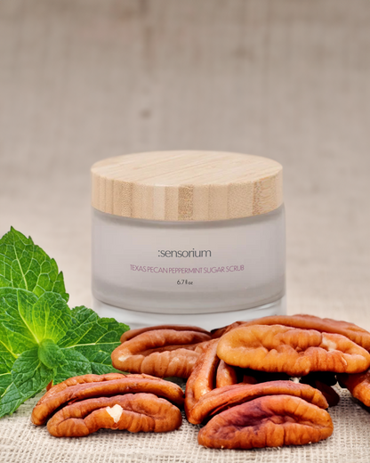 Sensorium Texas Pecan Peppermint Sugar Scrub